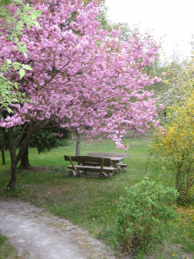 Ferienwohnung Ostseewald Rostock Exteriér fotografie
